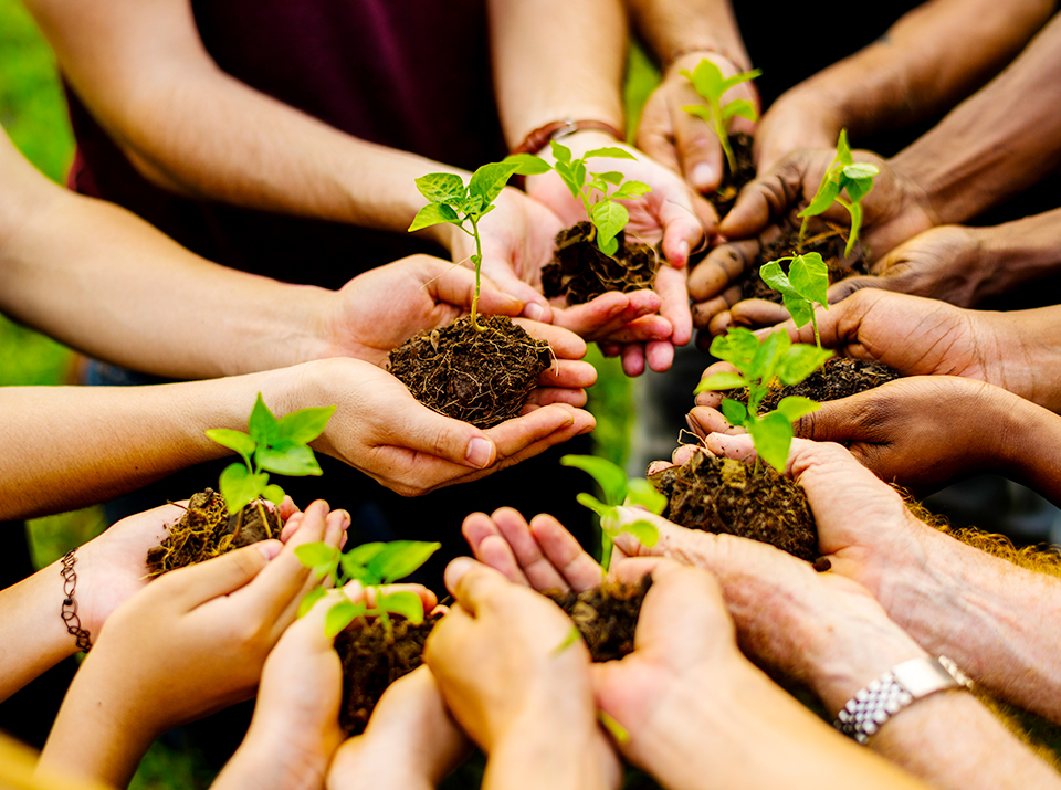 Green Initiatives