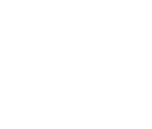 Smart Stars Award